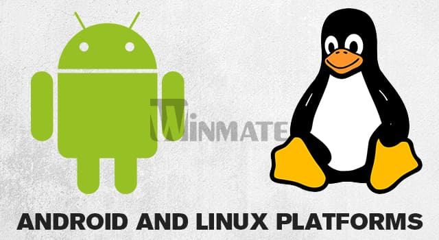 Winmate ARM Box PC FA30SB3-210 with Android and Linux Platforms Winmate ARM Box PC FA30SB3-210 with Android and Linux Platforms